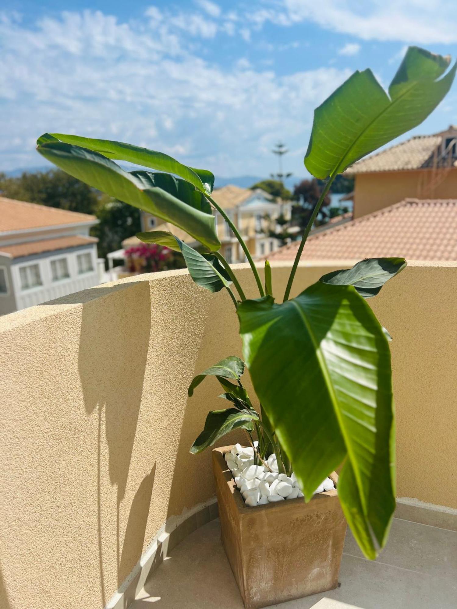 Eva Hotel